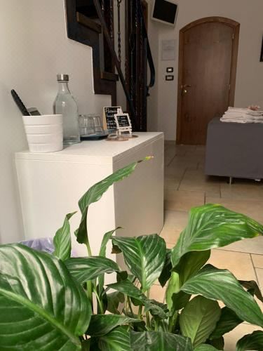 双人或双床间 - 带加床