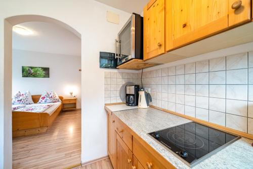 高级一卧室公寓