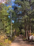 Creekside cabin