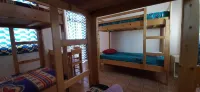 Room-Bed in Mixed Dormitory Room in Vila Hotels in 