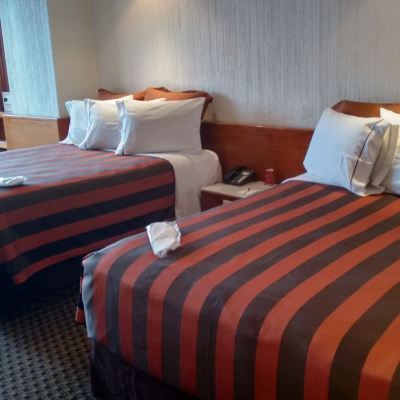 Superior Suite, 2 Queen Beds, City View, Tower Sevilla Palace Promo Code