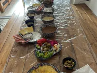 OliveTreeHostel Hotels in Ramallah