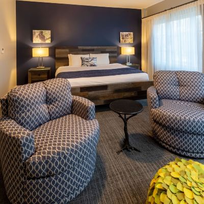 Executive King Single Room The Residences at Biltmore - Asheville Promo Code