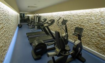 a well - equipped gym with various exercise equipment , such as treadmills , ellipticals , and stationary bikes , lined up against a stone wall at DoubleTree by Hilton Gaziantep
