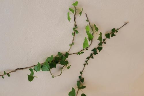 一卧室公寓 - 错层式