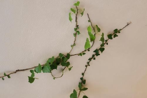 一卧室公寓 - 错层式