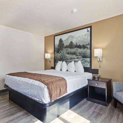 1 King Bed, Non-Smoking, Lounge Chair, Desk, Microwave and Refrigerator SureStay Hotel by Best Western Twin Falls Promo Code