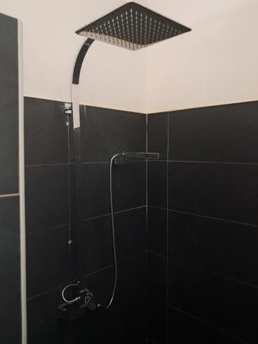 别墅（带独立泳池）