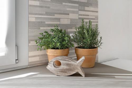 高级两卧室公寓