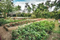 Kariwak Village Holistic Haven and Hotel Hotel a 