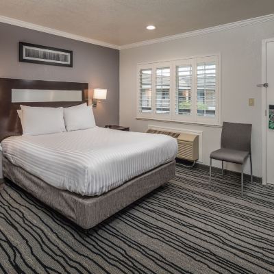 Standard Queen Room Redwood Creek Inn Promo Code