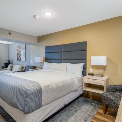 King Suite Grey Fox Inn Promo Code