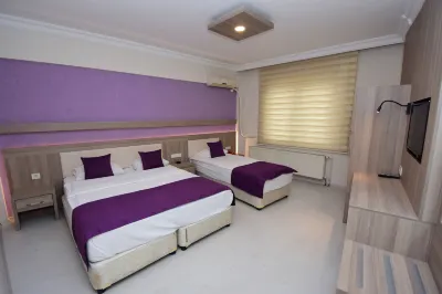Plevne Otel Hotel a 