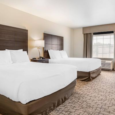 2 Queen Beds, Accessible Room, Non-Smoking Comfort Inn & Suites Promo Code
