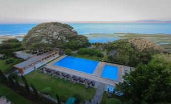 a large swimming pool surrounded by lush greenery , with a view of the ocean in the background at Haile Resort Hawassa