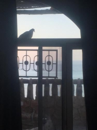 三卧室屋顶花园公寓