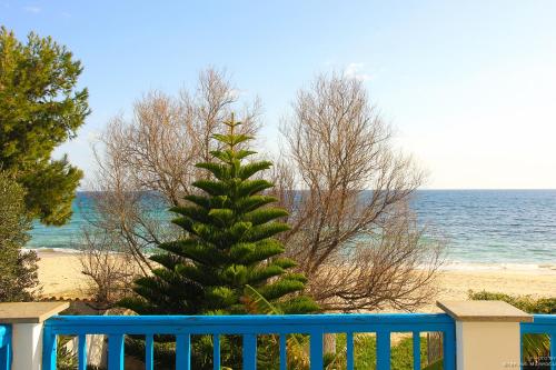 带私人外部浴室的双人房