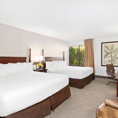 Executive Two King Room The Anaheim Hotel Promo Code