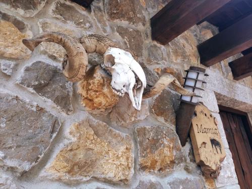 享有花园景致的公寓