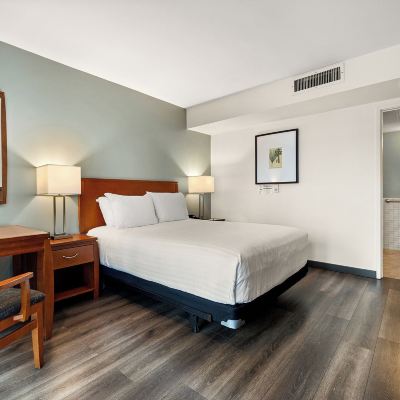 Standard Room, 1 Queen Bed, Accessible, Bathtub Vagabond Inn Glendale Promo Code