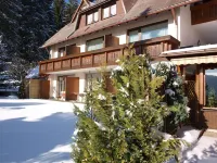 Hotel Restaurant Peterle Ξενοδοχεία στην πόλη Feldberg