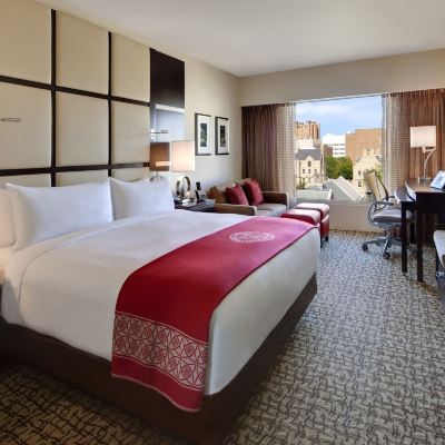 校園特大床間 康奈爾大學斯塔特勒酒店優惠