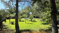 Lemon Tree Hostel Hotels in 