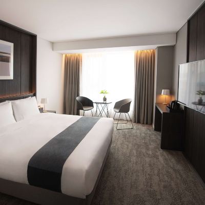 스탠다드 더블 오라카이 대학로 호텔 쿠폰