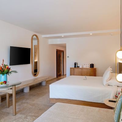 Junior Suite Swim Up Hacienda Tres Rios Resort Spa & Nature Park - All Inclusive Promo Code