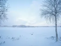 Villa Siltasaari Hotels in Sotkamo