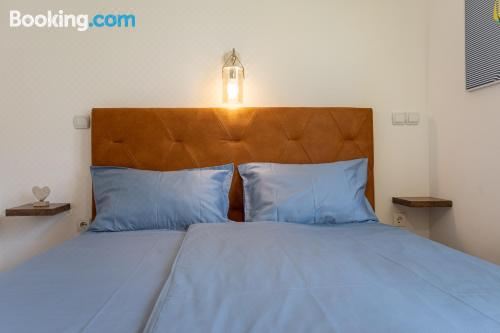 两卧室公寓 - 带花园