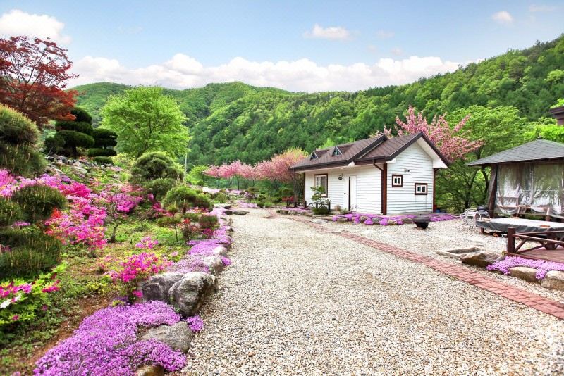 자연 속 펜션 외부