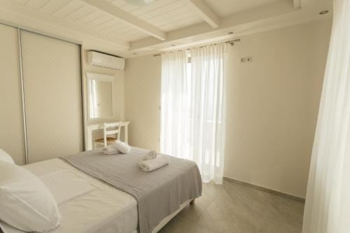 别墅（带独立泳池）