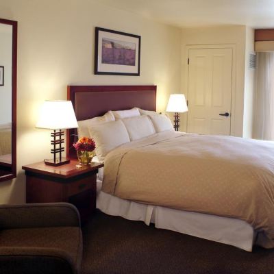 One Bedroom Suite Accessible W Roll In Shower Larkspur Landing Sacramento-An All-Suite Hotel Promo Code