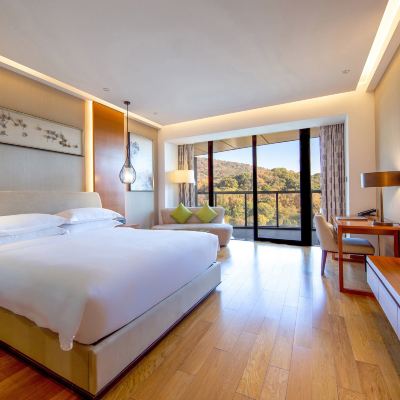 高級房超大床房城市景觀帶陽台 南京玄武湖假日飯店優惠