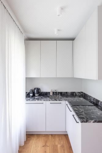 带露台一室公寓