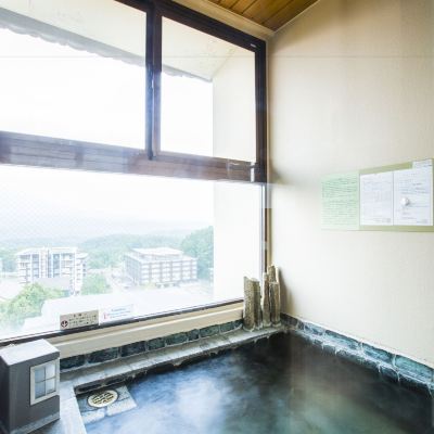 温泉付きの喫煙可能な和室 湯元ニセコプリンスホテルひらふ亭 クーポン