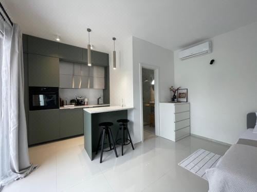 带露台一室公寓