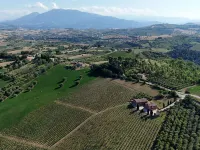 Cantina d'Erasmo - Camere e Degustazioni Hotels in Offida