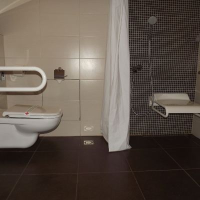 Double or Twin Room-Disability Access Hotel Aurel Promo Code