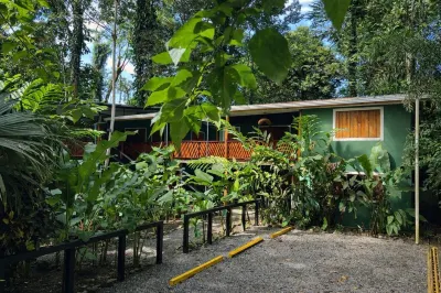 Hotel Boutique the Green Jungle House Hotels in 