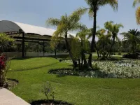 Huayacán Cuernavaca Curamoria Collection