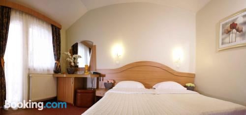 豪华双人或双床房