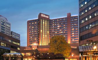 a large hotel building with many windows and a tree in front of it at dusk at Hilton Albany