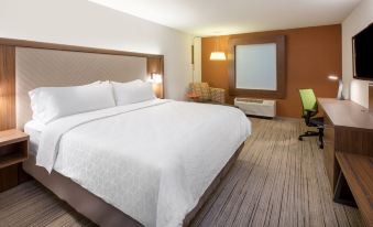 Holiday Inn Express & Suites Dyersburg