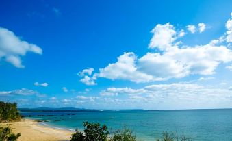 The Hiramatsu Hotels & Resorts Ginoza Okinawa