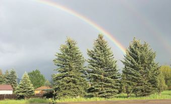 a double rainbow in the sky above a row of trees and a house in the background at Rays Place Inn