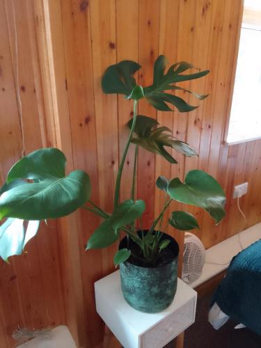 带园景一室公寓