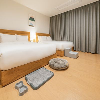 펫 스위트 오션 뷰 룸 헤이 서귀포 쿠폰