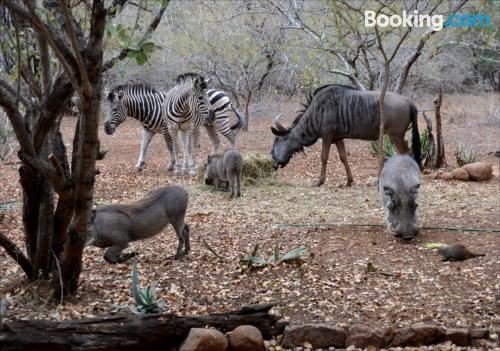 别墅（带独立泳池）
